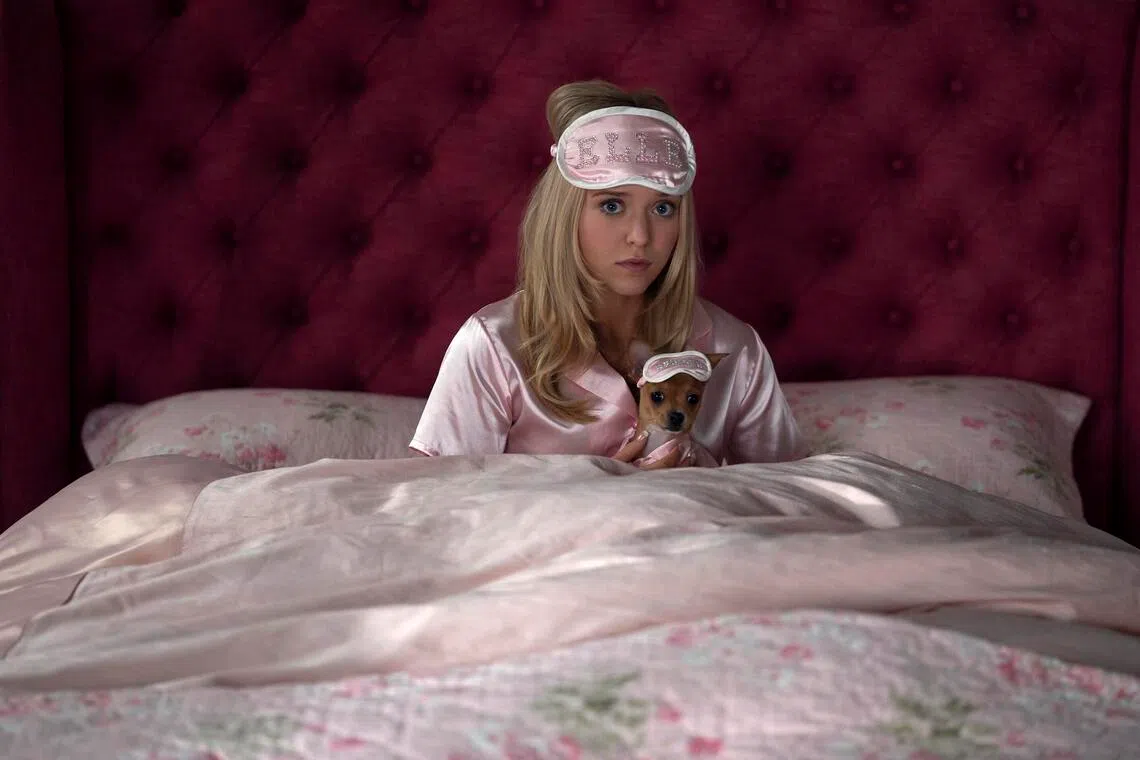 Actress Lexi Minetree grew up loving Legally Blonde – now she’s Elle Woods in the prequel
