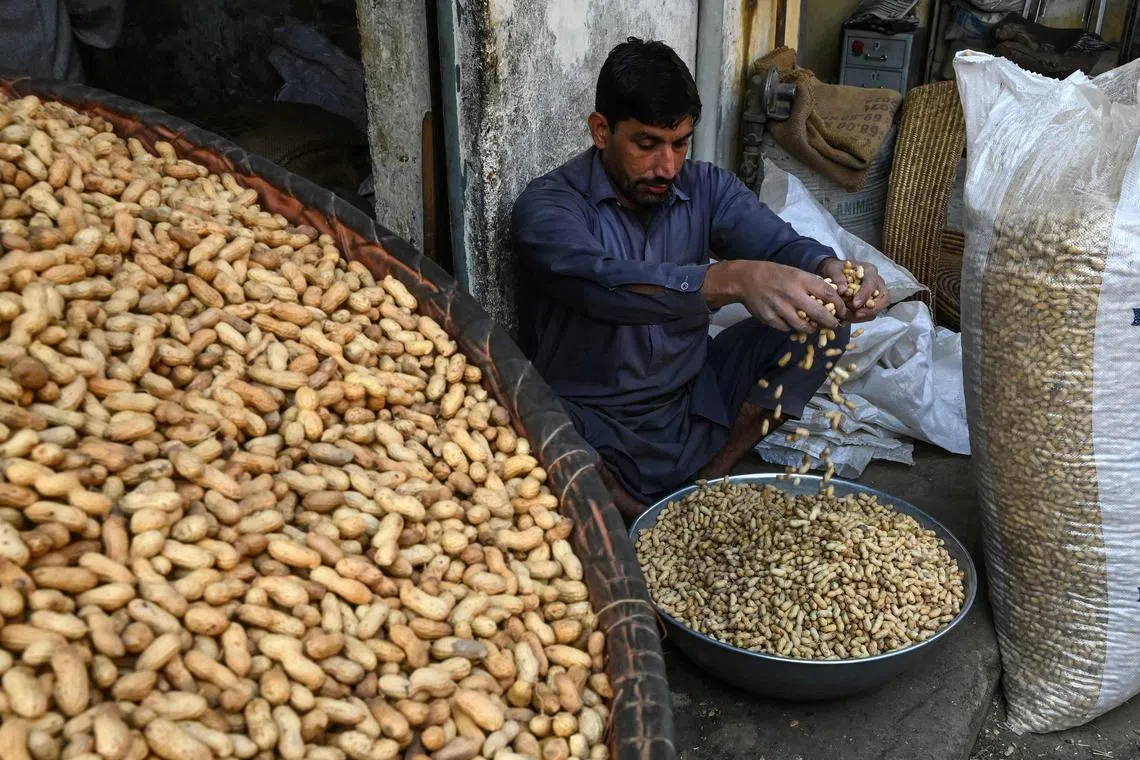 A shopkeeper selling peanuts arranges them as he waits for customers at a market in Peshawar on December 3, 2022. (Photo by Abdul MAJEED / AFP)