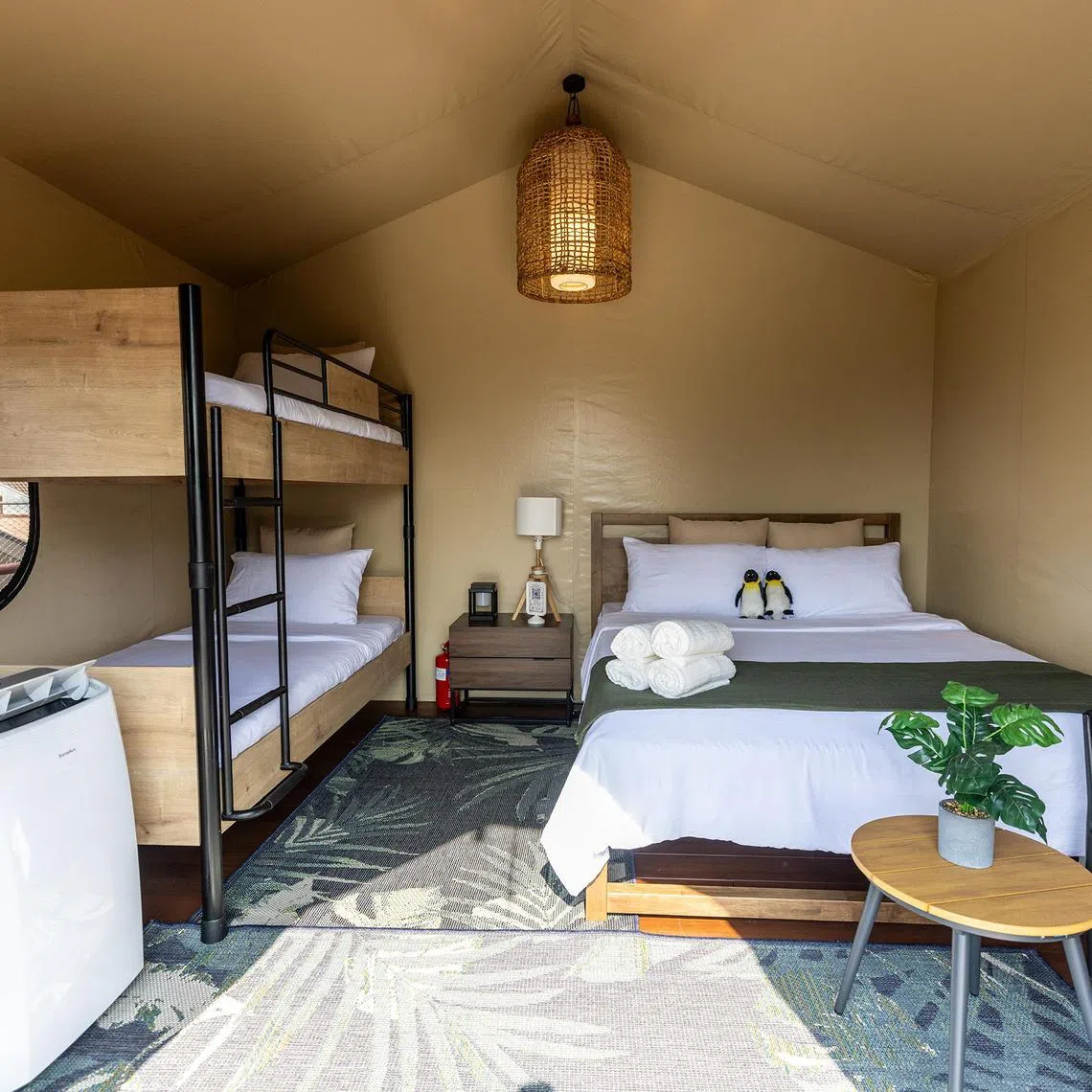 Each safari-style tent at Colugo Camp can accommodate up to four guests.