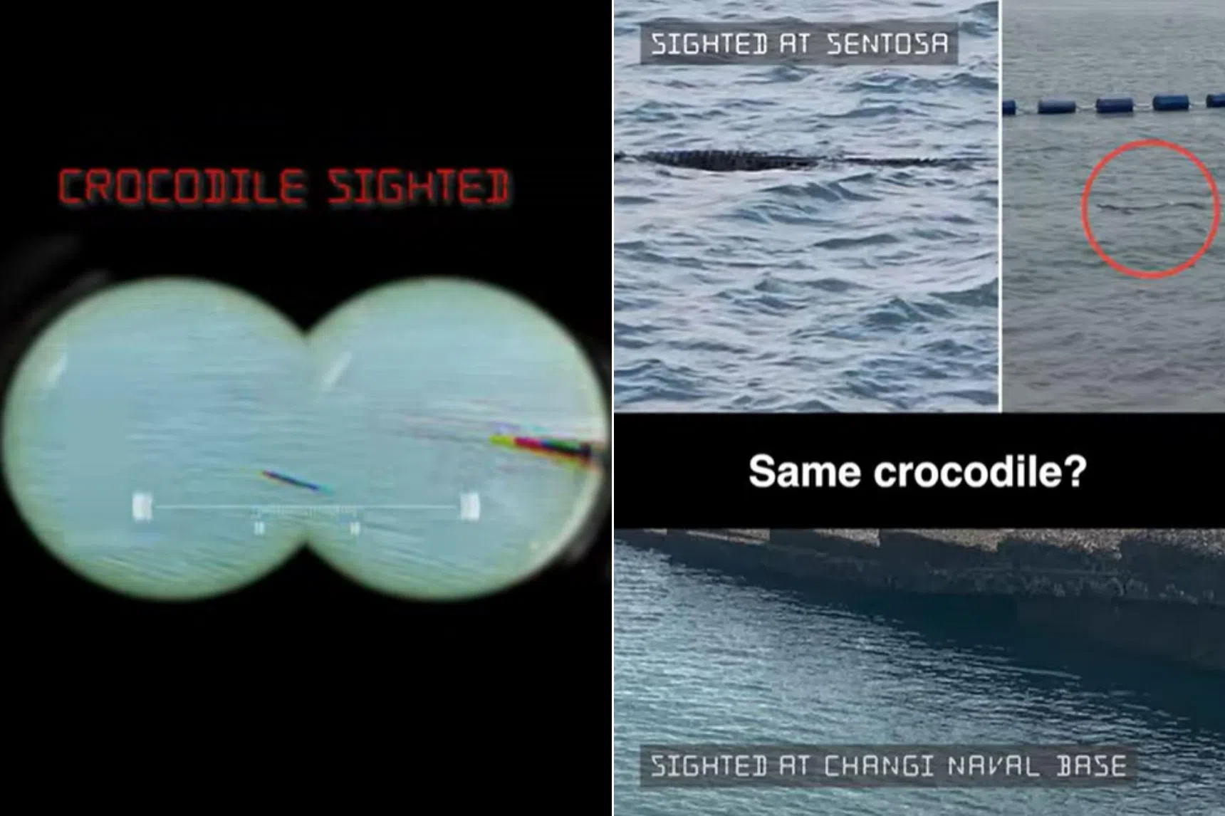 A crocodile was spotted in waters near the Changi Naval Base by sea soldiers from the Republic of Singapore Navy.