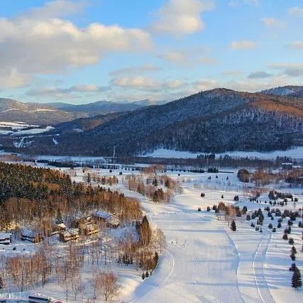 A month of heavy snowfall has revived Japan’s ski resorts after a slow start to the season, drawing renewed interest from Americans and other overseas visitors in search of fresh powder.