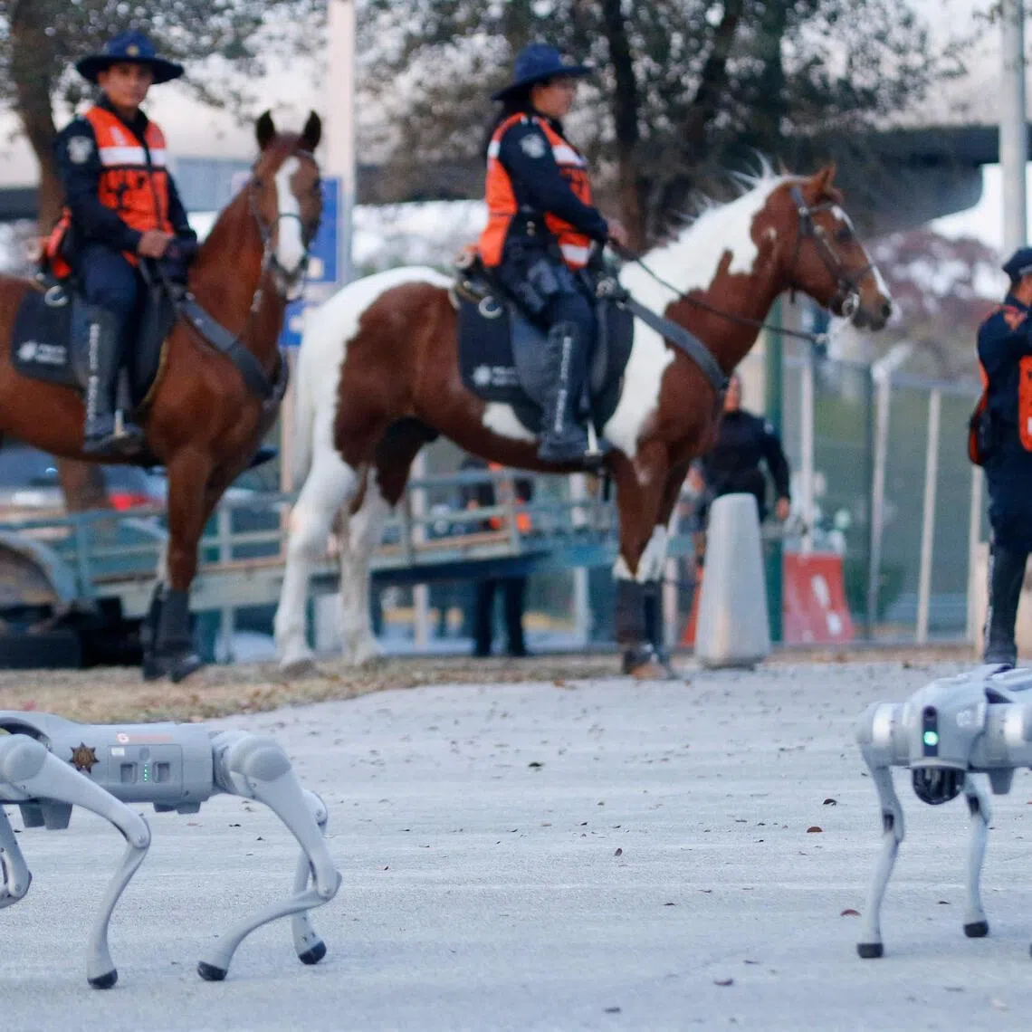 Two K9-X robot dogs walk during a presentation by Mexican police at the BBVA Stadium in Monterrey, Mexico, on Feb 11, 2026. The four-legged robots are designed to enter dangerous areas and broadcast live video back to security forces. The World Cup, which will take place from June 11 to July 19, is being hosted by Mexico alongside the United States and Canada. (Photo by Julio Cesar AGUILAR / AFP)