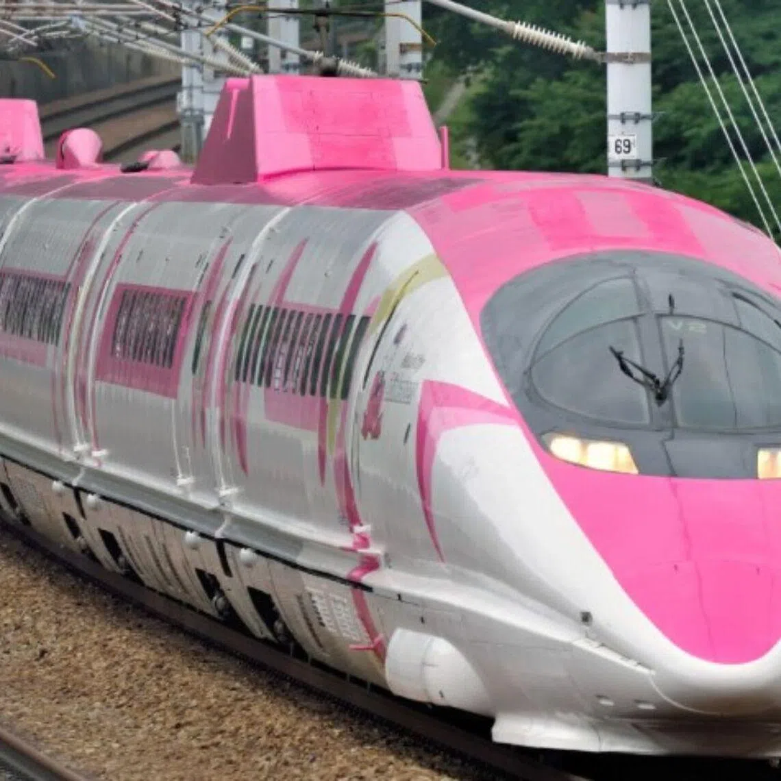The bullet train had carried around one million passengers since its debut in June 2018.