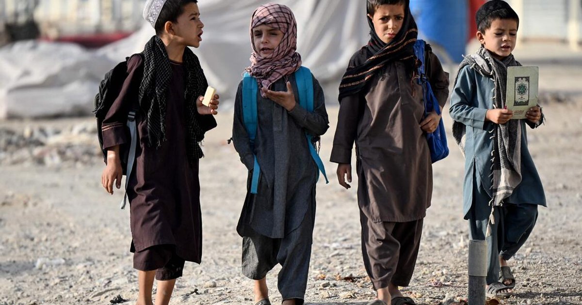UN says 19.2 million Afghans facing acute food insecurity by April 2027