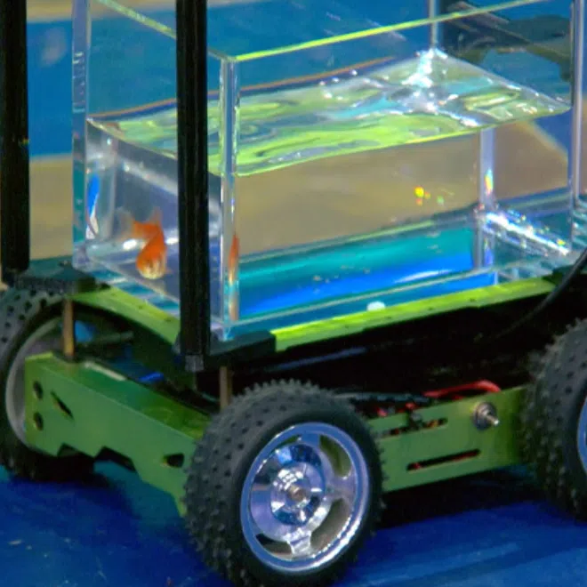Every time Blub the goldfish moves to one side of the tank, the vehicle moves in the same direction.