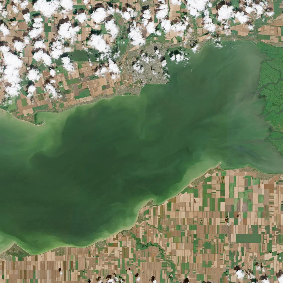 A satellite image of the Sea of Azov, July 13, 2026. 2026. EUROPEAN UNION/COPERNICUS SENTINEL-2/Handout via REUTERS
