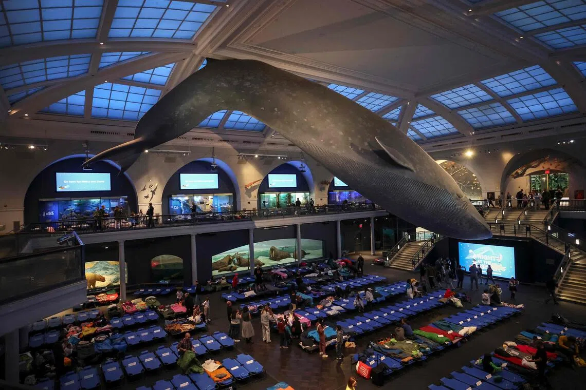 Visitors set up camp for A Night at the Museum sleepover at the American Museum of Natural History on Oct 24, 2025 in New York City. 