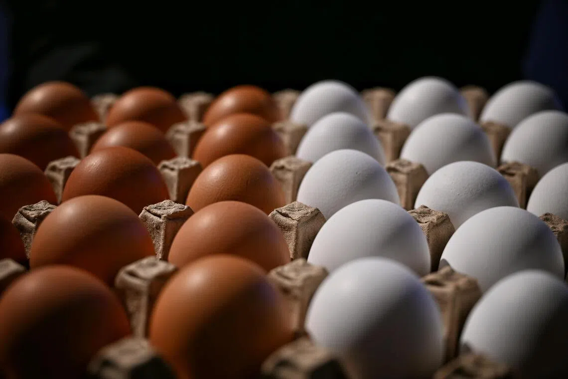 Shell shocked: Producers to give 53 million eggs to food banks in US settlement