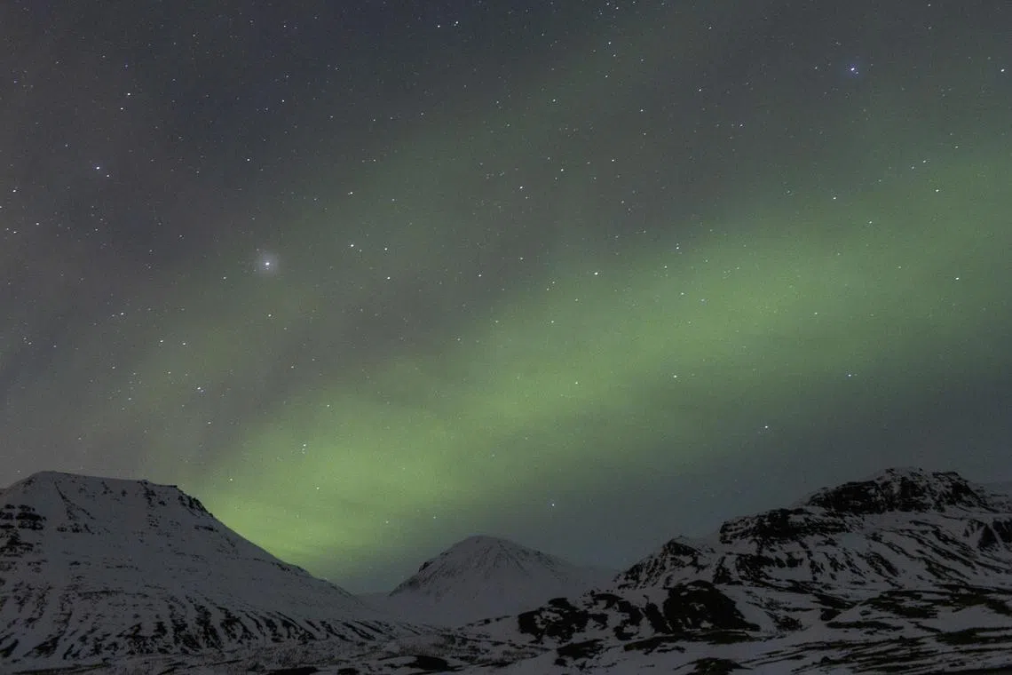 The northern lights rise in the night sky in Iceland on March 9, 2024. An aurora borealis industrial complex has boomed in Iceland, but for tourists, there’s no guarantee of actually seeing them. (Sigga Ella/The New York Times)

