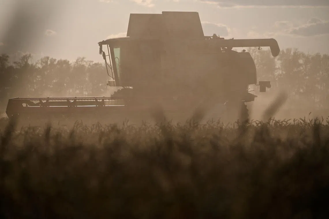 FILE PHOTO: A combine harvests wheat in a field of a local agricultural enterprise in the Cherlaksky district of the Omsk region, Russia, September 8, 2023. REUTERS/Alexey Malgavko/File Photo