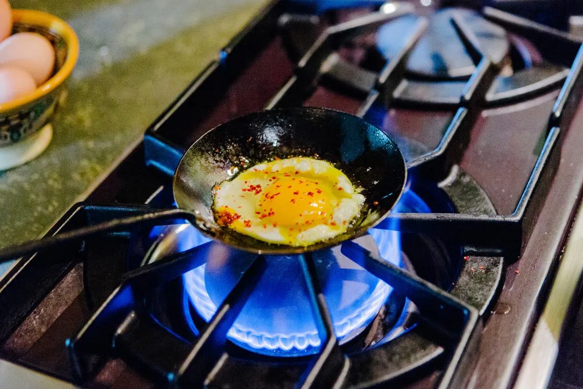The study suggested that around 650,000 US children would not have developed asthma if their homes had electric or induction stovetops instead of gas stoves.