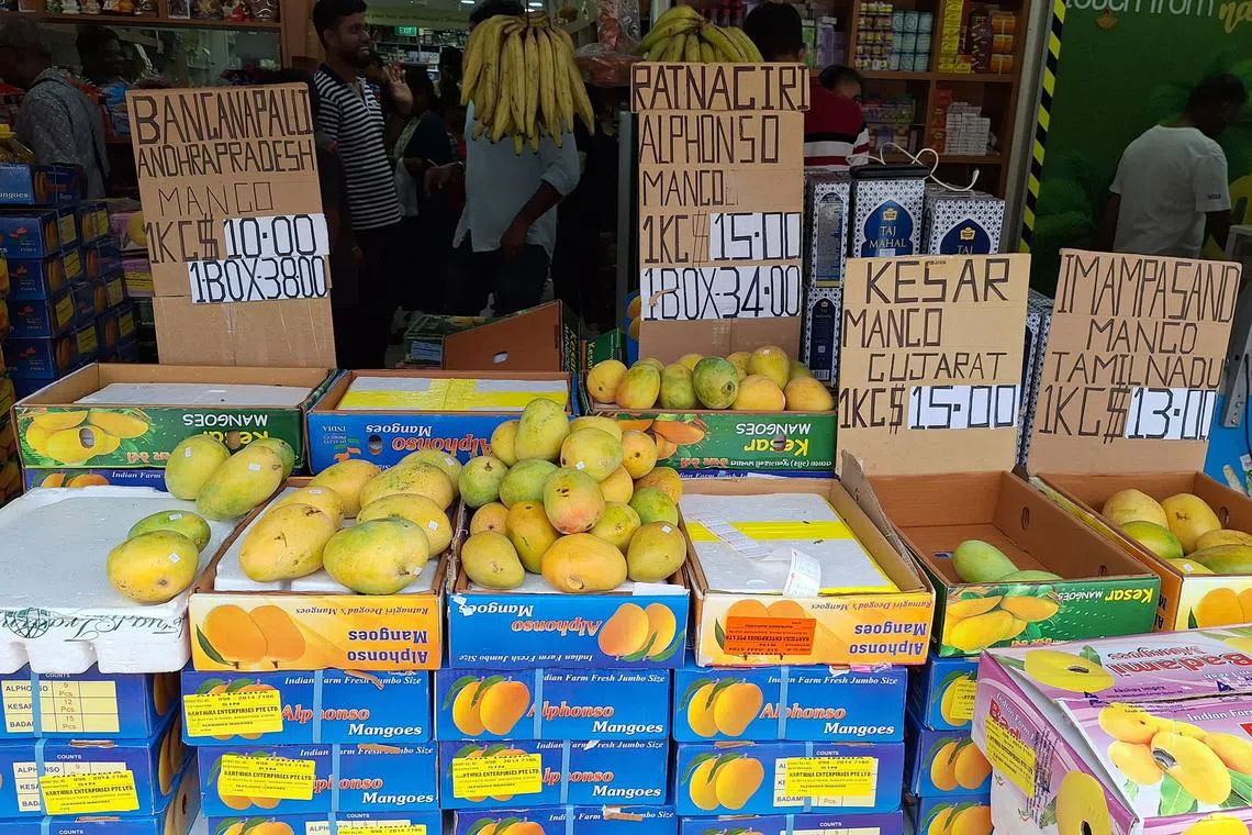 Mango varieties sold in Little India.