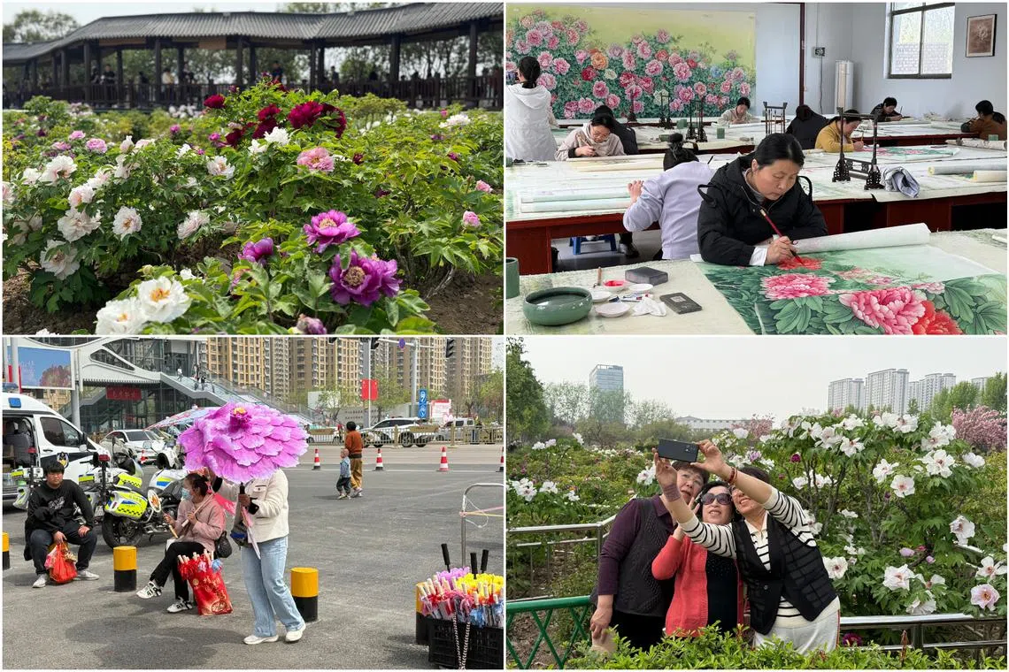 From peony seed oil to peony toothpaste, peony tea, peony cosmetics and even peony eggs, you name it and Heze has it.