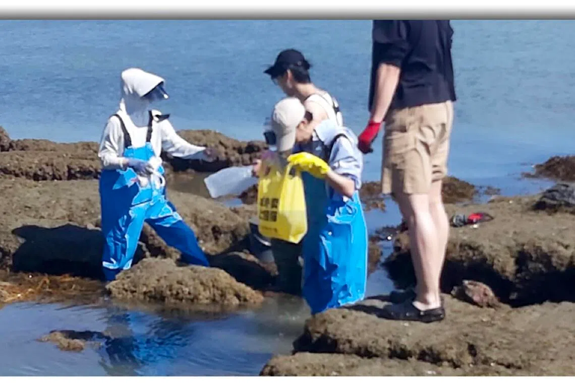 Gatherers are usually equipped with tools such as hammers, chisels and piano wires to help pry shellfish from the rock surfaces. Photo of a group of gatherers taken at Army Bay in March 2025.