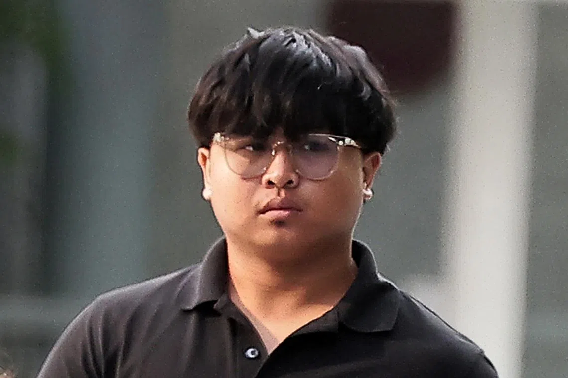 Mohamad Zachary Danial Mohamad Azhar pleaded guilty to one charge of abetting the possession of an offensive weapon and another charge of causing evidence to disappear.