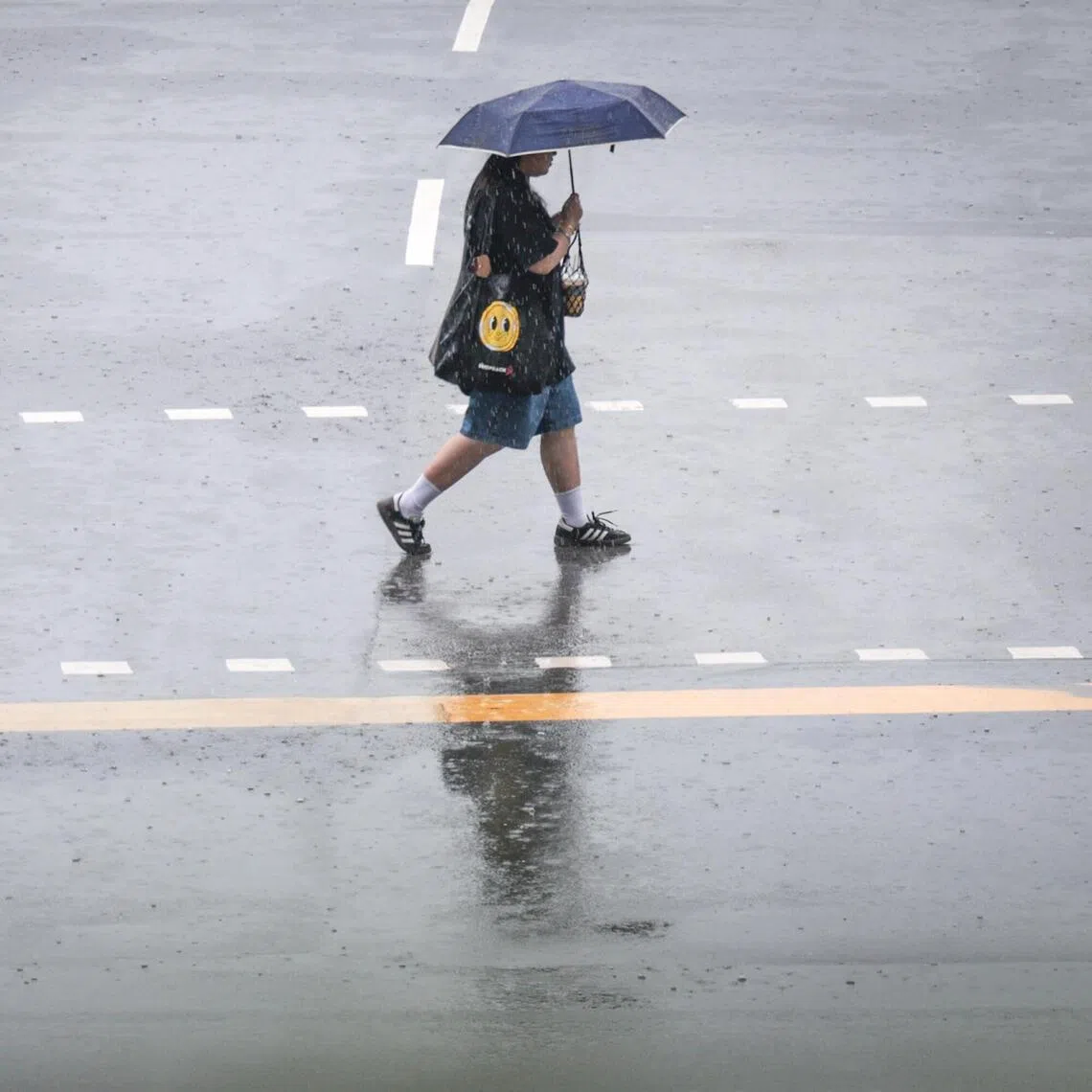 On one or two days, there may be widespread moderate to heavy thundery showers.