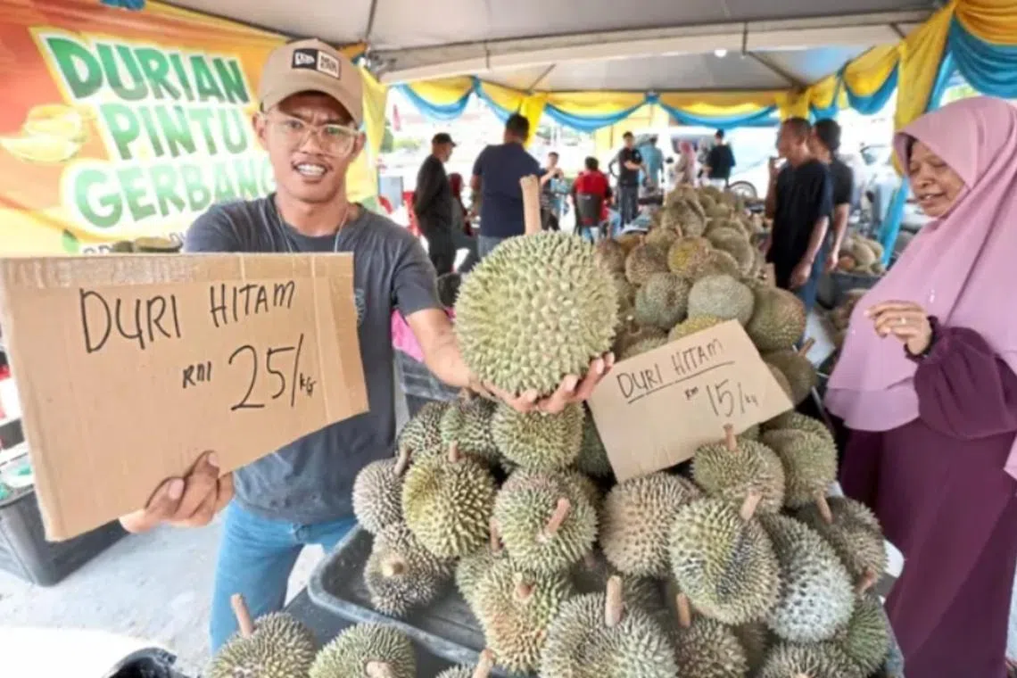 Durian seller Azwan Mohed said Penang growers continue to command premium prices for their durians due to Balik Pulau’s exclusive varieties.