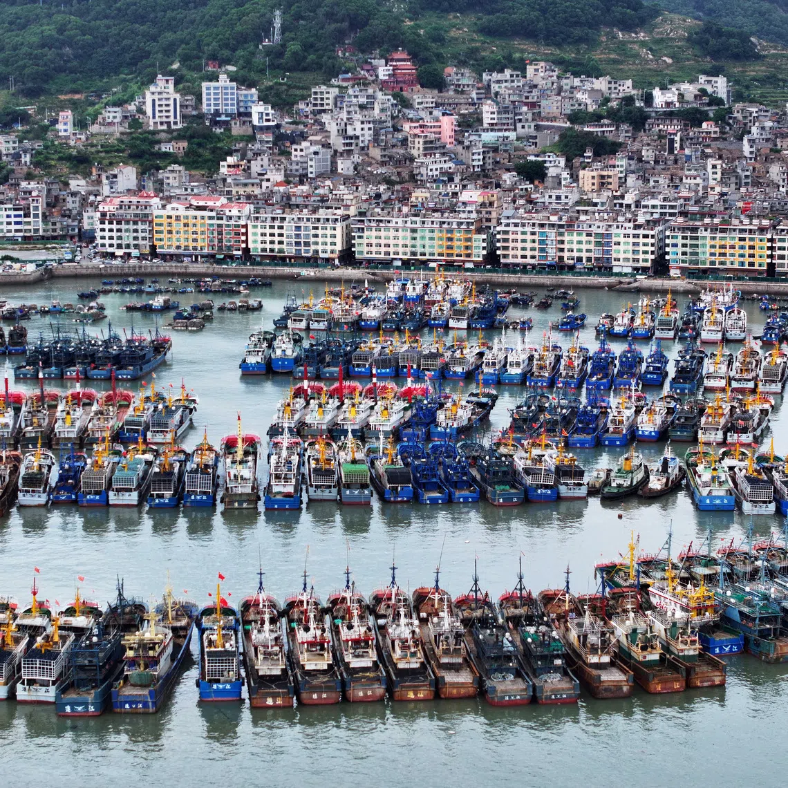 A drone view shows various vessels moored at the Huangqi National Central Fishing Port, as Typhoon Dolphin approaches, in Huangqi town of Lianjiang, Fuzhou, Fujian province, China August 8, 2026. cnsphoto via REUTERS