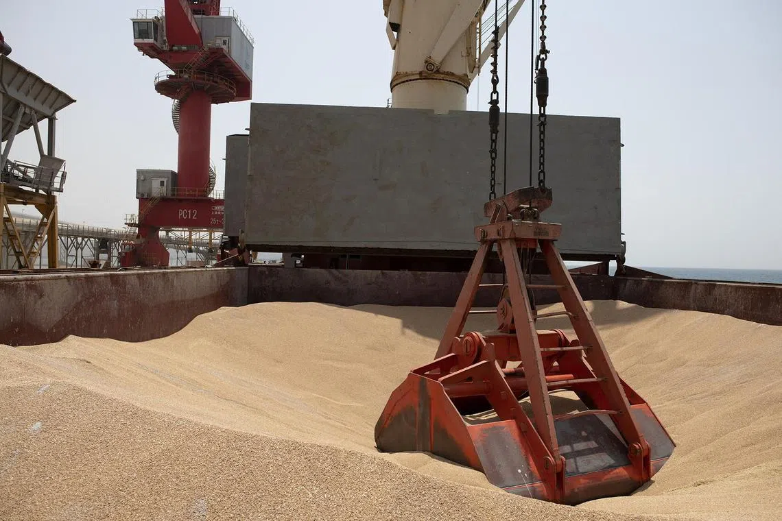 Russia has suspended wheat supplies to Syria, amid uncertainty over its relations with the new government in Damascus and payment delays.