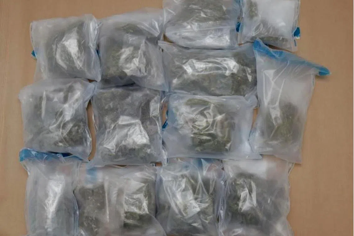pixdrug - Controlled drugs including cannabis and ‘Ice’ seized in the vicinity of Serangoon North Avenue 1 in a CNB operation conducted on 15 May 2023.