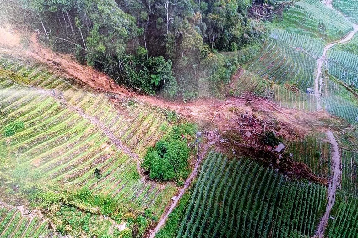 A landslide at Cameron Highlands on Jan 26 killed two people, with the search for three more people ongoing.