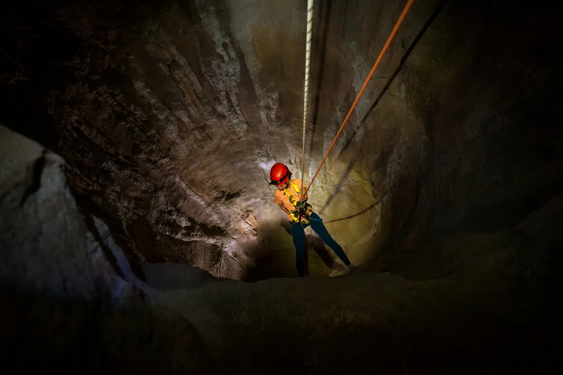 mandai wildlife reserve rainforest wild adventure wild cavern adventure