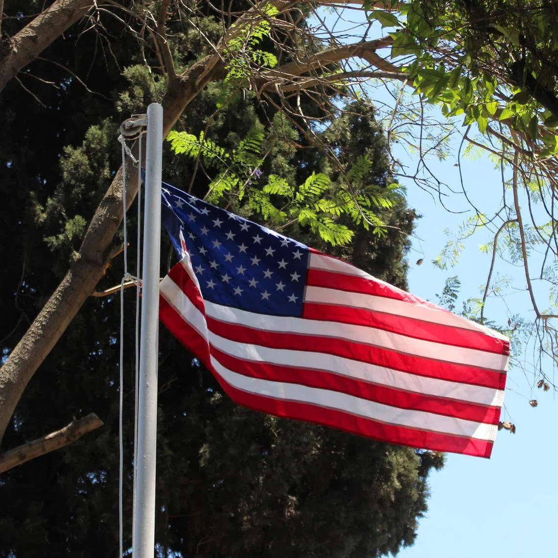 The writer says that the Trump administration’s conduct has destroyed trust, the most precious commodity among friends.