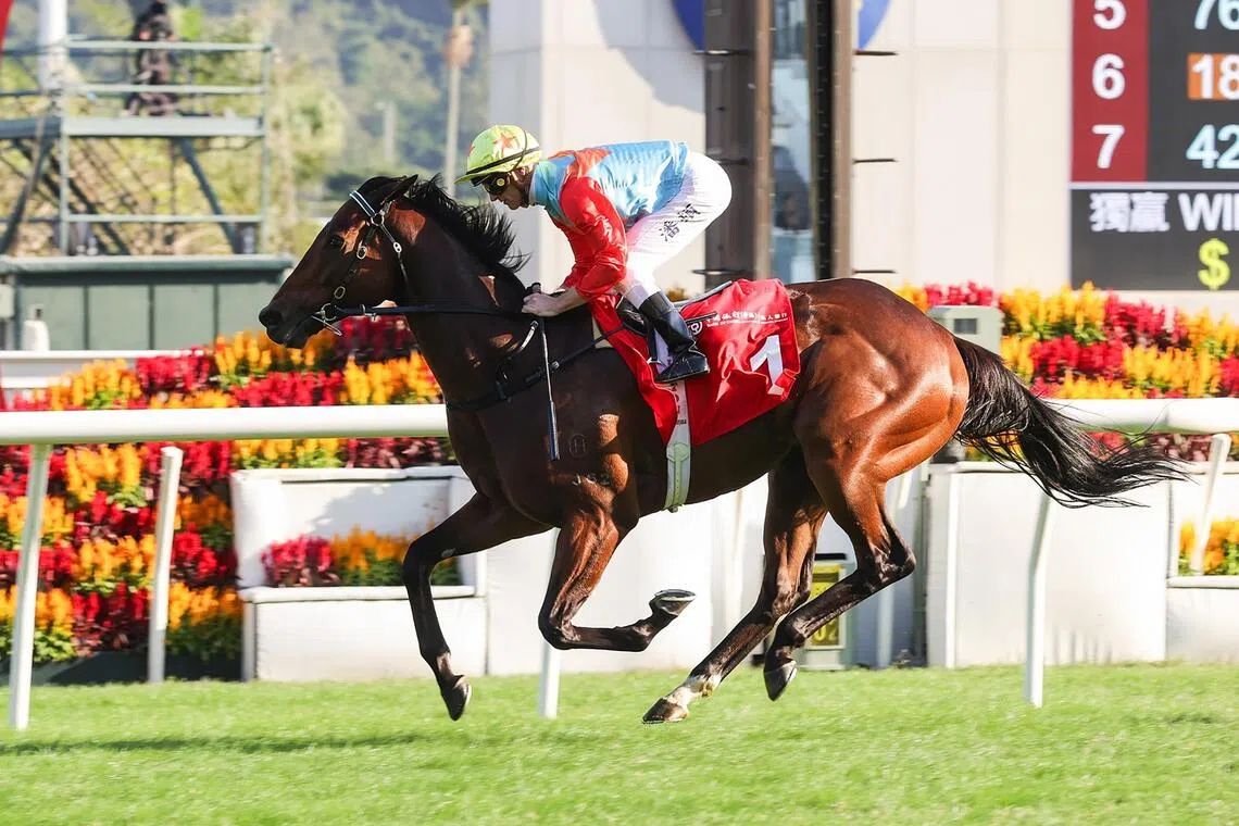 hk24 - Nov 23 HK racing.
PHOTO: HKJC