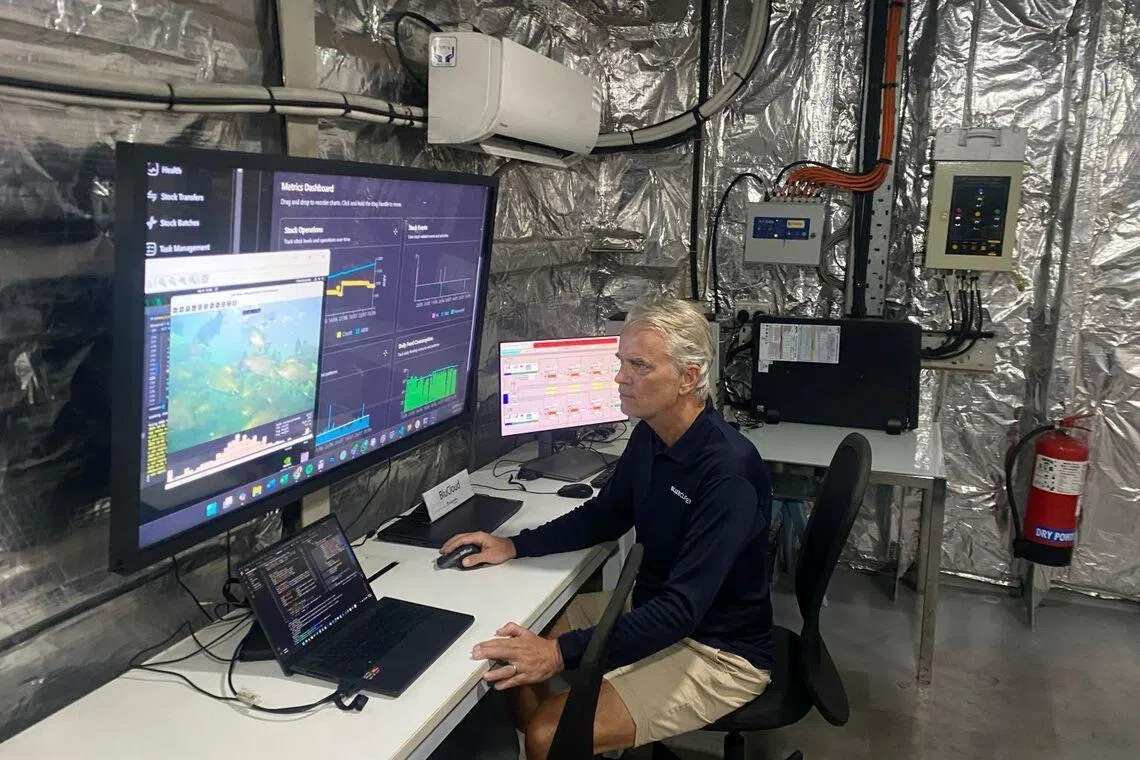 Singapore Aquaculture Technologies CEO Dr Dirk Eichelberger looking at his computer and doing data analysis 