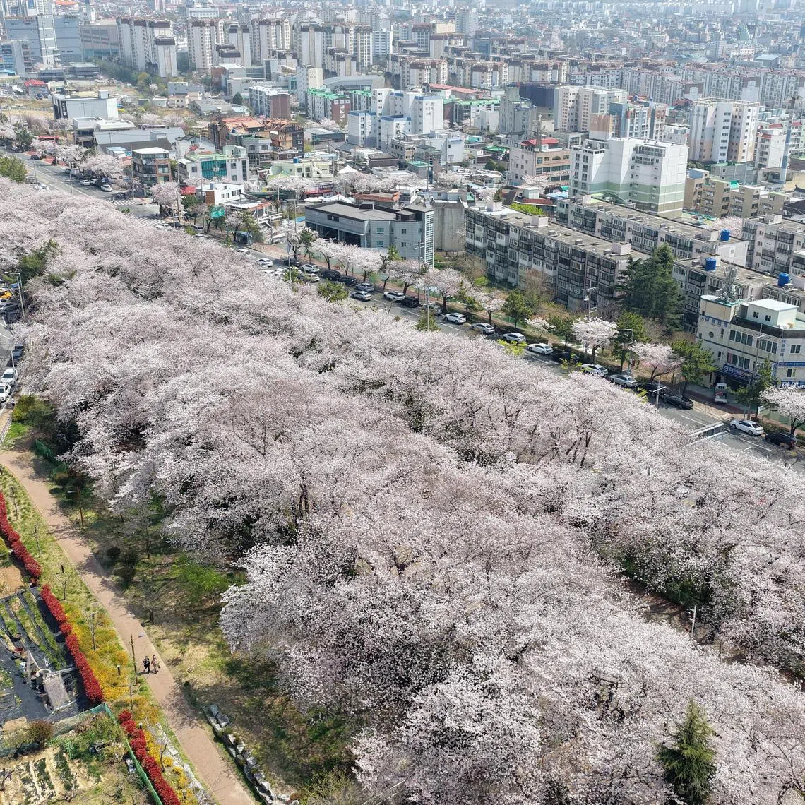 Ticks can bite humans who come into contact with vegetation without adequate protective clothing.