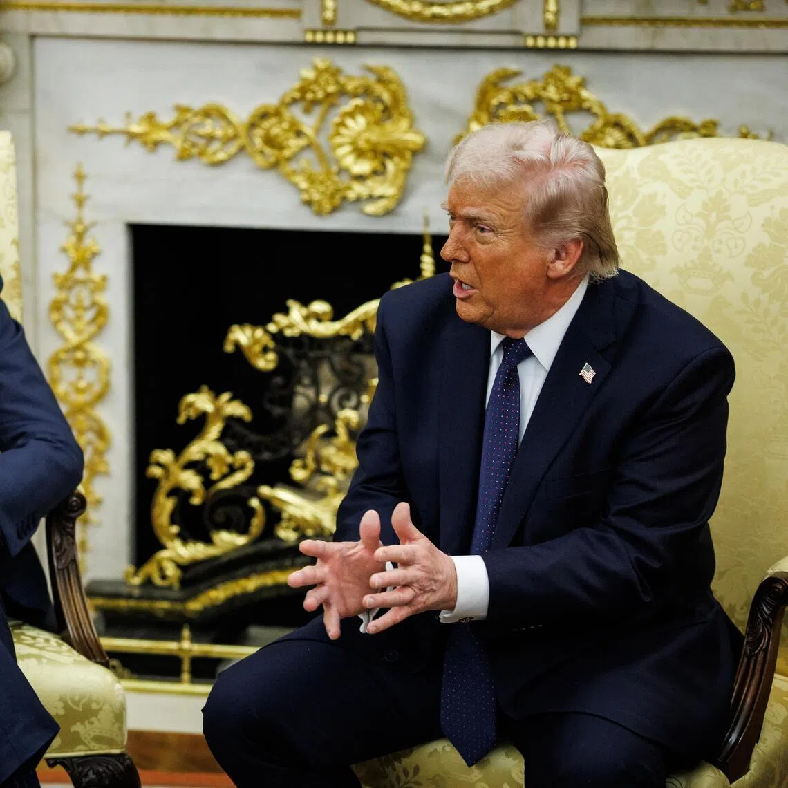 US President Donald Trump (R) and German Chancellor Friedrich Merz holding a bilateral meeting in the Oval Office at the White House in Washington DC on March 3.