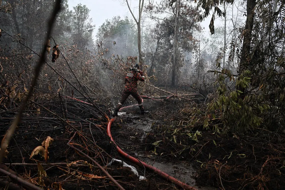 Firefighters battling a spreading peat fire in a residential district in Pengerang, Johor, in January.