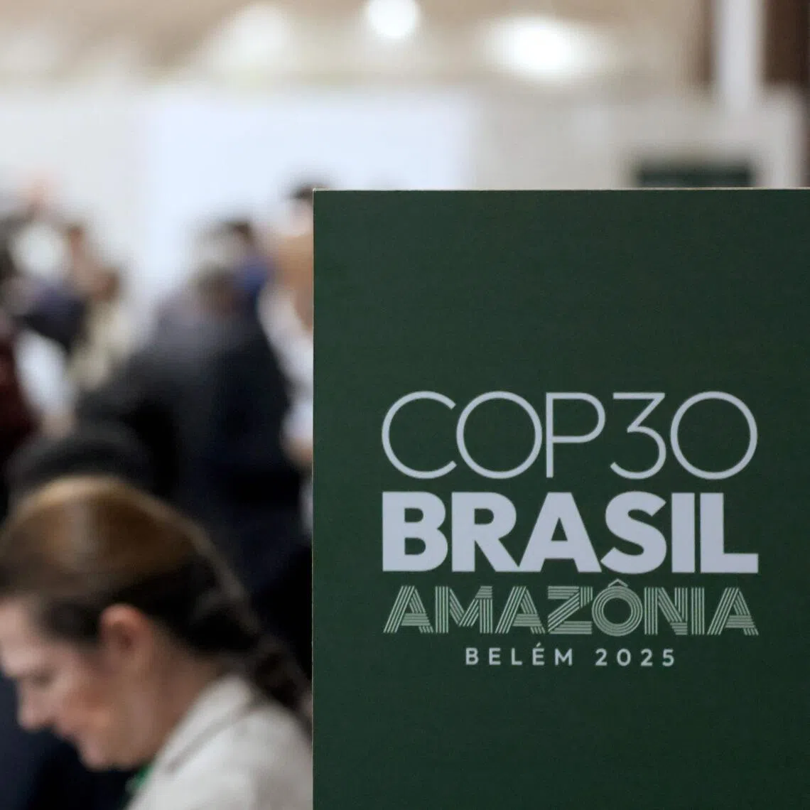 Some nations are dialling back climate policies and companies have retreated from net-zero pledges.