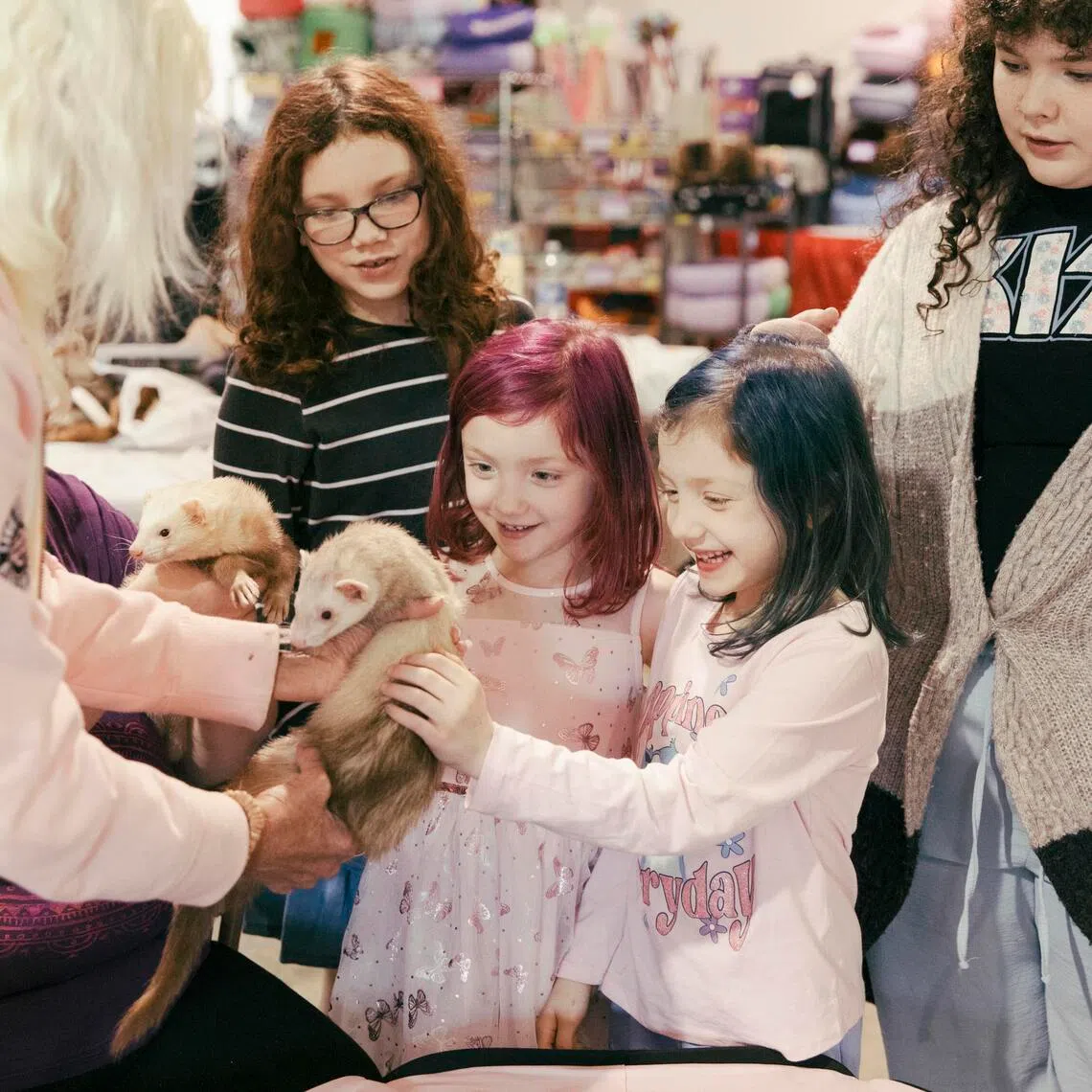 (From centre left) Sisters Serenity and Trinity Pyle pet ferrets at the Ferret Buckeye Bash in Columbus, Ohio.