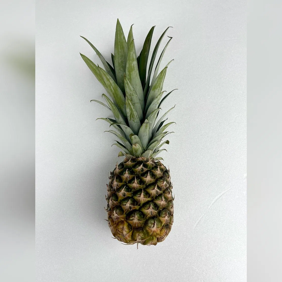 The pineapple is easily the most popular fruit in Singapore in 2023.