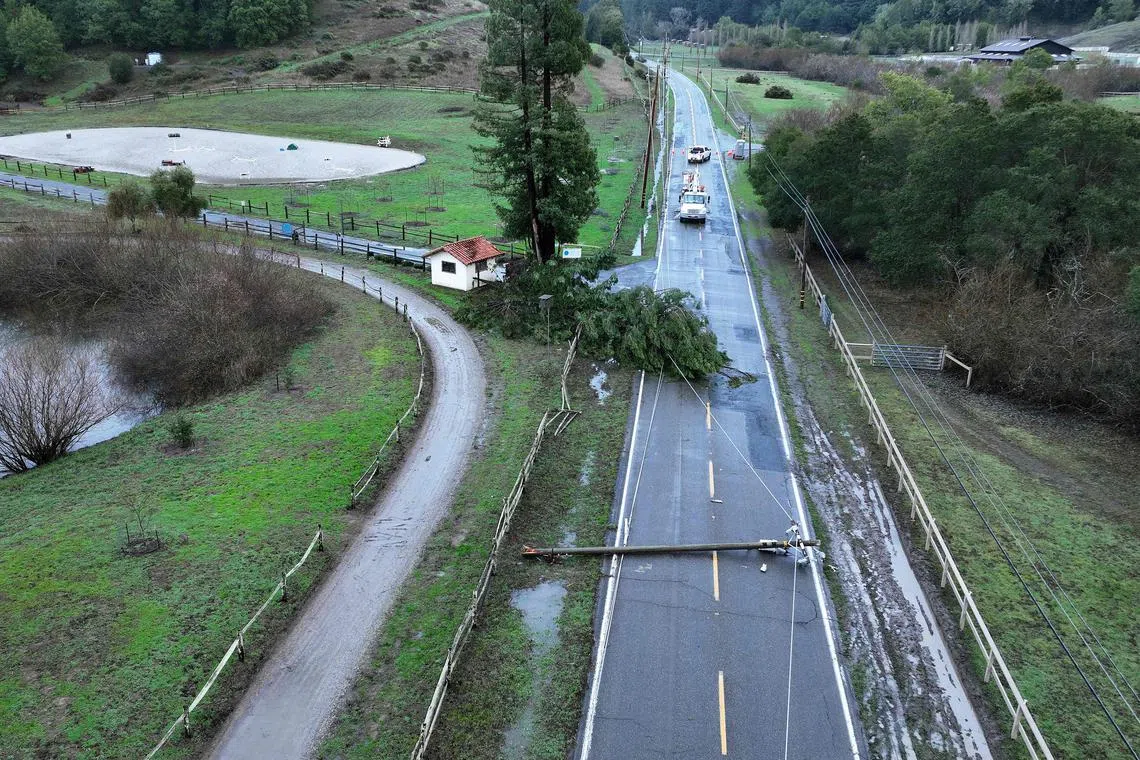 In an aerial view, a tree and utility pole are seen resting on Nicasio Valley Road after being toppled by high winds on Jan 5, 2023, in Nicasio, California.