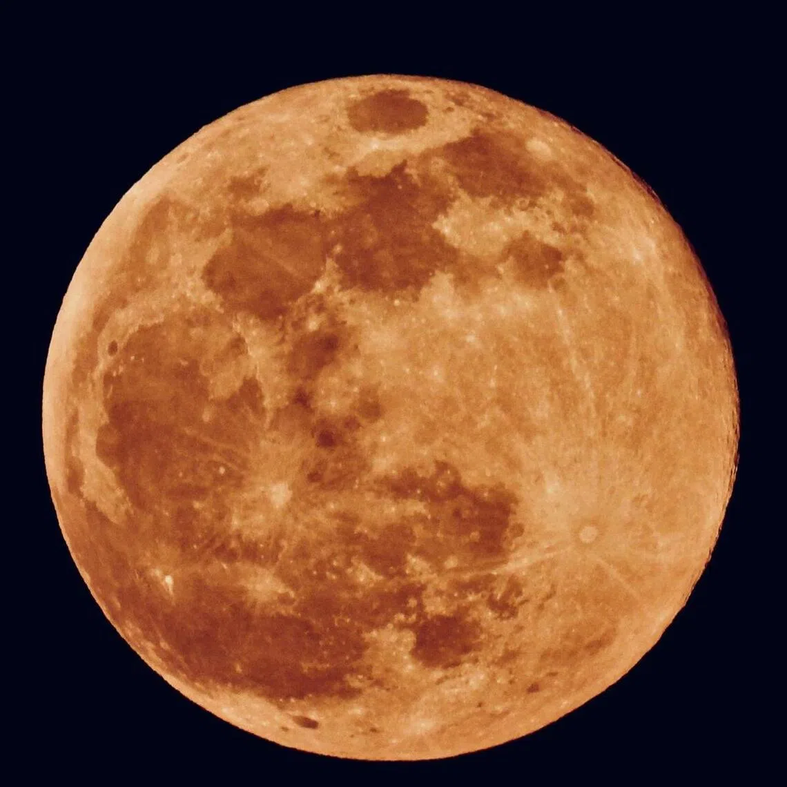 The super full moon glows orange on Oct 7, photographed from the top floor of Mandai Tekong Park.