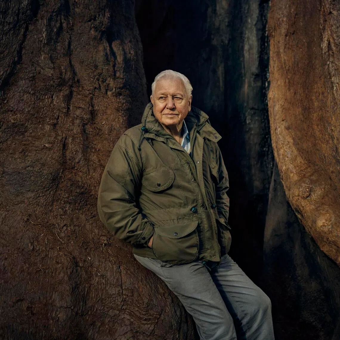 Sir David Attenborough secured the Emmy for Outstanding Daytime Personality - Non-Daily, for his work on Netflix’s Secret Lives Of Orangutans.