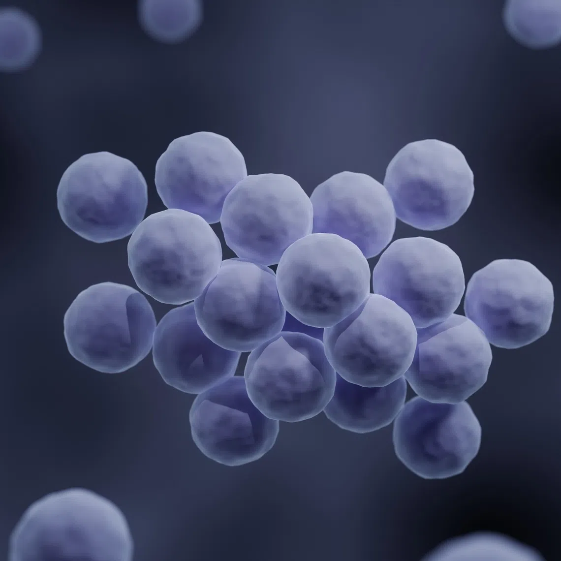 Currently, the country’s AMR rate for a number of infections such as the Methicillin-resistant Staphylococcus aureusinfection is lower than the global rate.