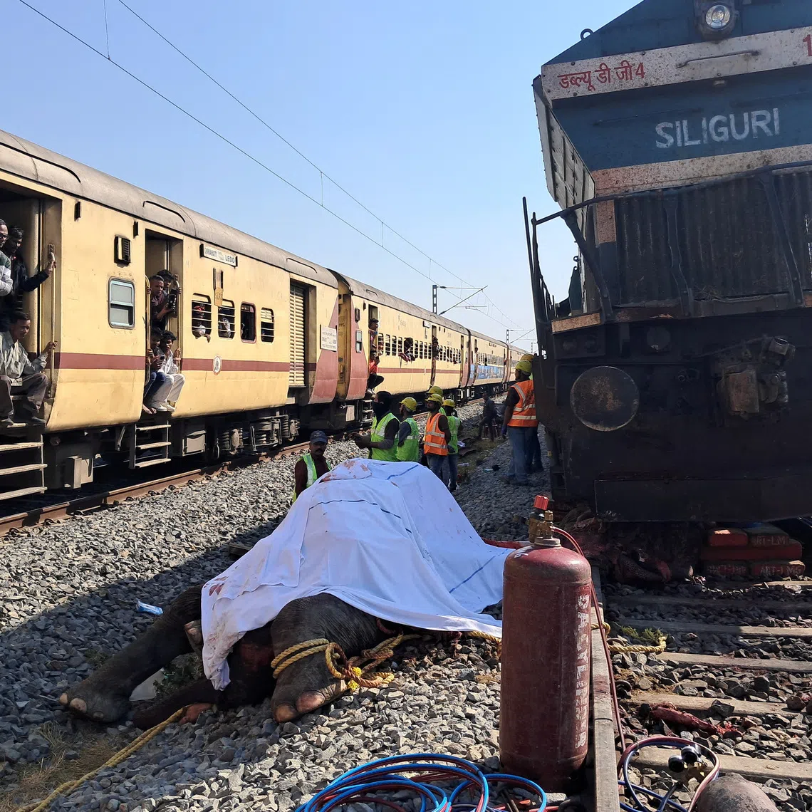 Train passengers use their mobile phones to take photographs of a dead elephant after it was hit by a train in Hojai district in the eastern state of Assam, India, December 20, 2025. REUTERS/Biki Das