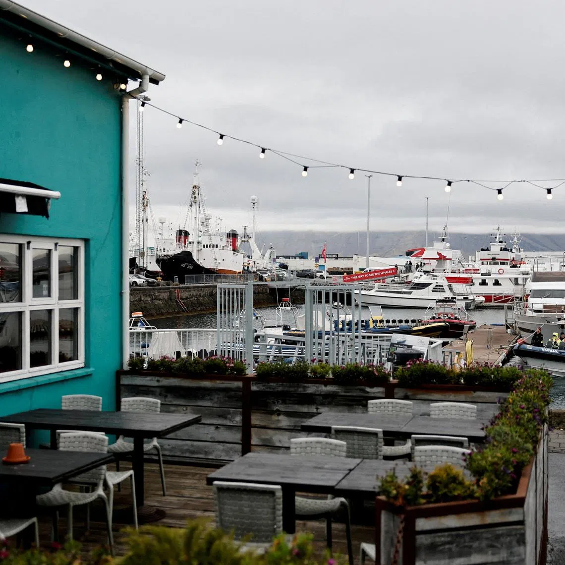 FILE PHOTO: A restaurant at the Old Harbour area of Reykjavik, Iceland, October 13, 2025. REUTERS/Benoit Tessier/File Photo