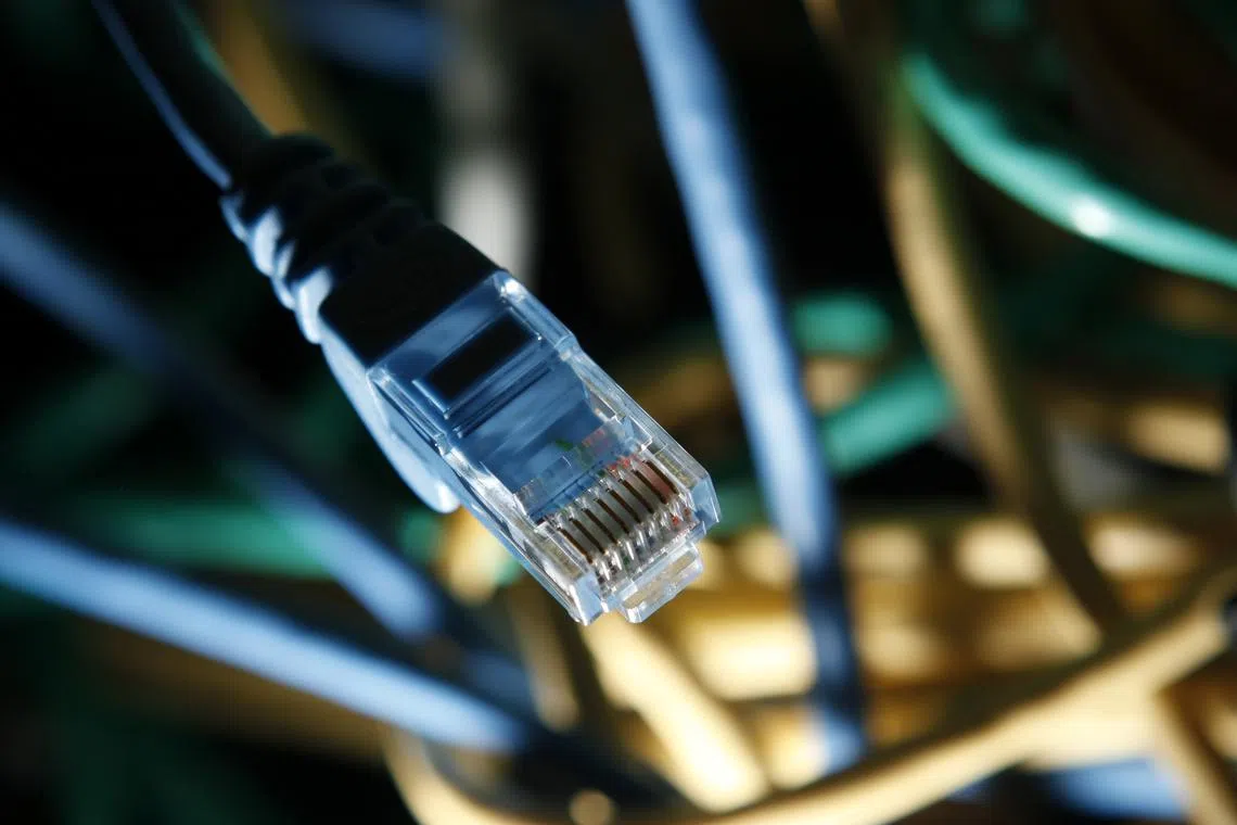 FILE PHOTO: An internet cable is seen in this picture illustration taken in January 24, 2012. REUTERS/Kacper Pempel