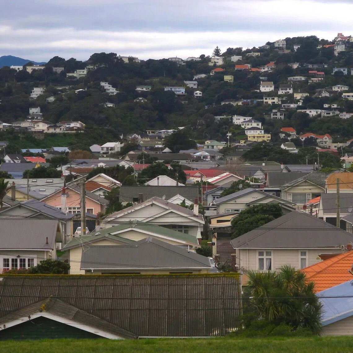 New Zealand’s early border closures and strict lockdowns were internationally lauded and initially succeeded in keeping the virus largely at bay. 