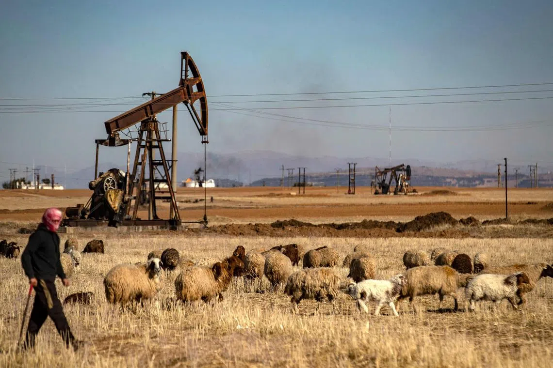 A shepherd walking past the Rmailan oil field in northeastern Syria, near the border with Turkey, in January 2025.