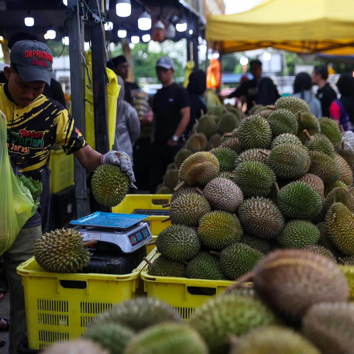 The police were unable to recover the stolen durians.