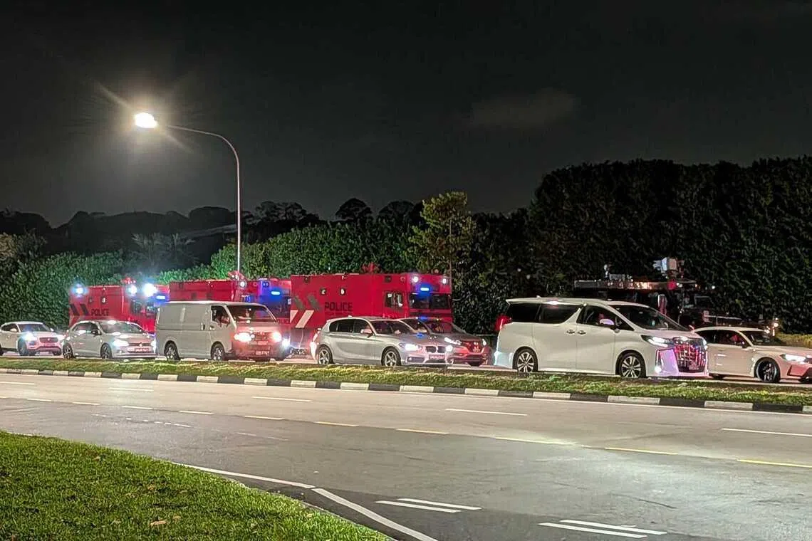 The police said on Feb 22 that they received a call for assistance at a residential estate along Marigold Drive at about 9.40pm on Feb 21.