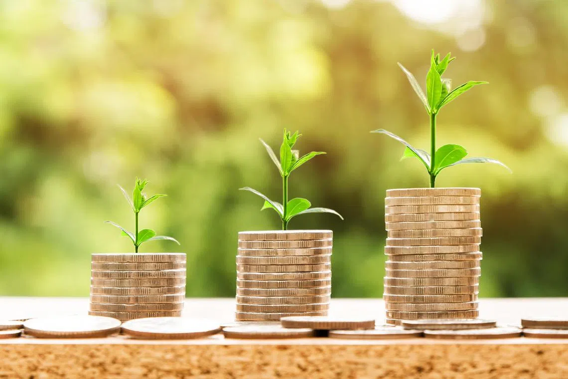 Money, profit, finance, coins, growth