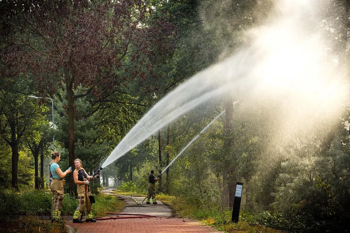 epa13149487 Firefighters battle a wildfire in the Boschhuizerbergen nature reserve east of Venray, the Netherlands, 04 August 2026. An area of about 100 hectares has been affected by the fire. Defense firefighting helicopters have been deployed to assist with the firefighting operations. EPA/ROB ENGELAAR