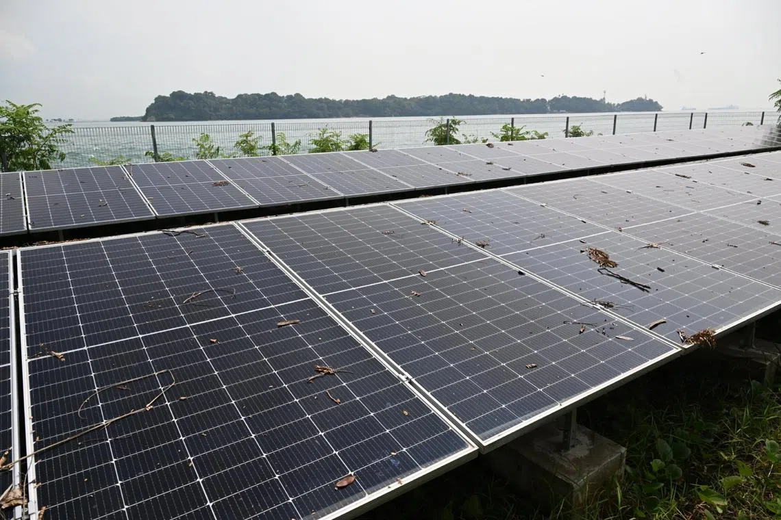 Recent outcomes from the climate COPs have influenced national policies, changed industries and affected jobs worldwide, including in Singapore.