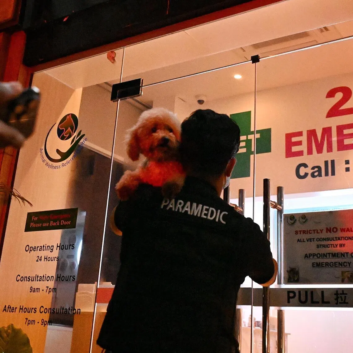 After his leash was caught in a lift door in the late evening of April 17, six-year-old maltipoo Milo hung trapped for more than 30 minutes before being rescued.